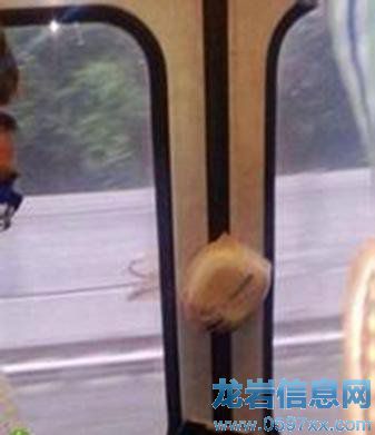 擠的不是地鐵,是寂寞。關(guān)于擠地鐵的日常。